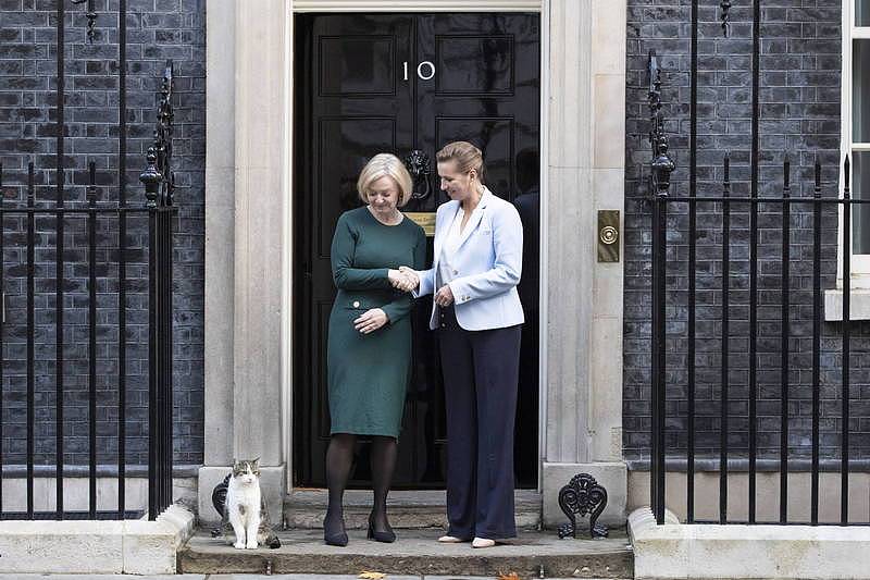 特拉斯与佛瑞德里克森在本月初会面，2人在首相官邸门口握手，供记者拍照，「内阁办公室首席捕鼠大臣」赖瑞则坐在特拉斯脚边悠哉地左顾右盼。 （欧新社）