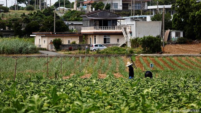 冲绳是日本最贫穷的县，其依赖旅游经济受到新冠疫情的严重打击。