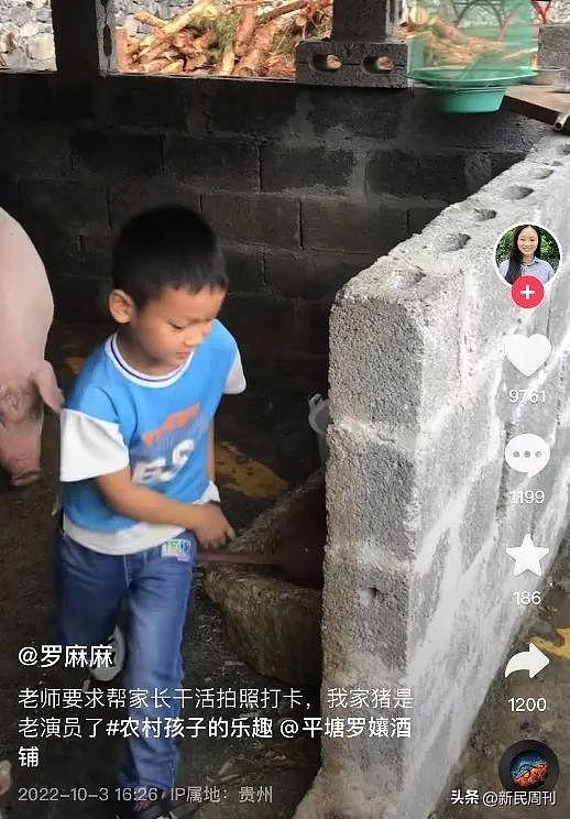 视频火了！贵州20多名留守儿童排队摆拍喂猪引发热议（组图） - 1