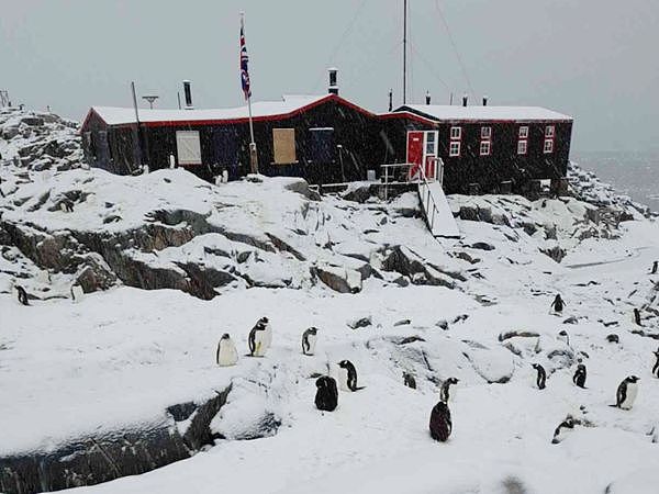 ▲▼慈善機構「英國南極遺產信託基金會」（UKAHT）發布徵人啟事，聘請4人前往南極洲洛克羅伊港（Port Lockroy）郵局，協助英國南極調查局（BAS）統計企鵝及其他野生動物數量。（圖／翻攝推特@AntarcticHT）