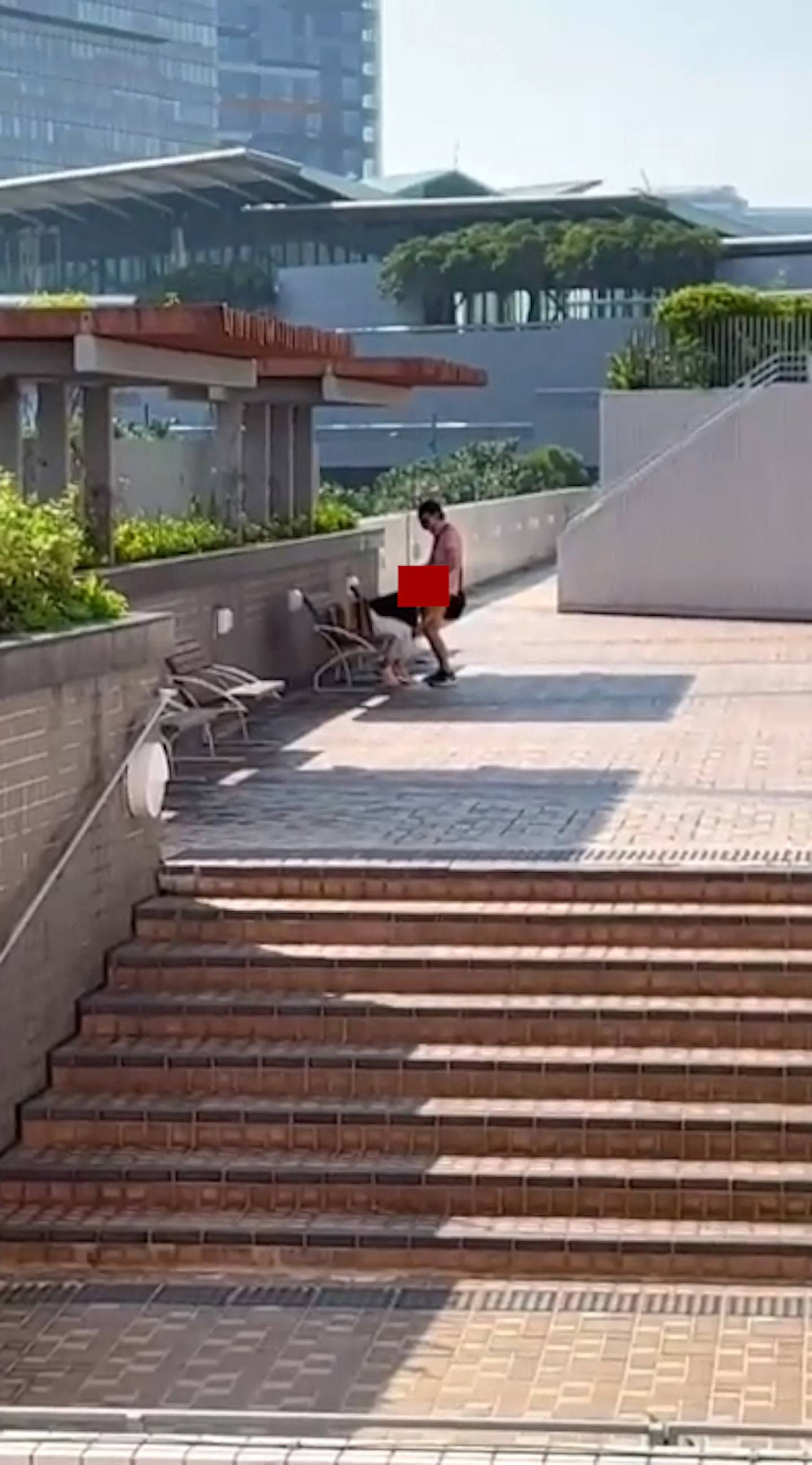 一對男女疑在東涌東薈城附近的公園做出疑似口交動作，影片在網上瘋傳。（影片截圖）