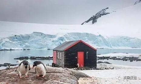 世界上最酷的工作！南极洲招人“数企鹅”，没wifi还得给企鹅铲屎，却有6000人抢着去（组图） - 21