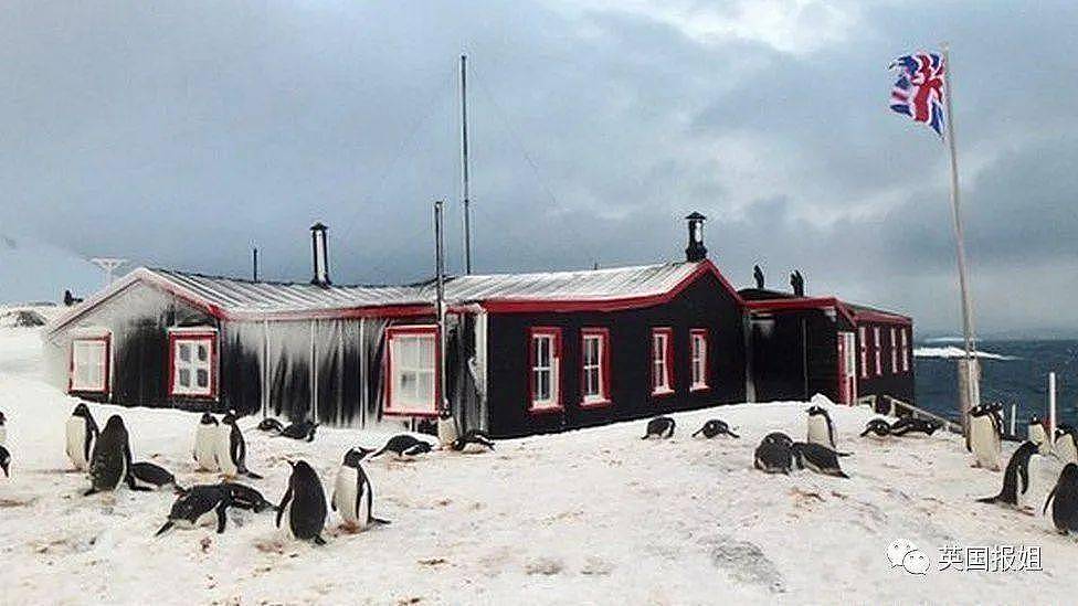 世界上最酷的工作！南极洲招人“数企鹅”，没wifi还得给企鹅铲屎，却有6000人抢着去（组图） - 22