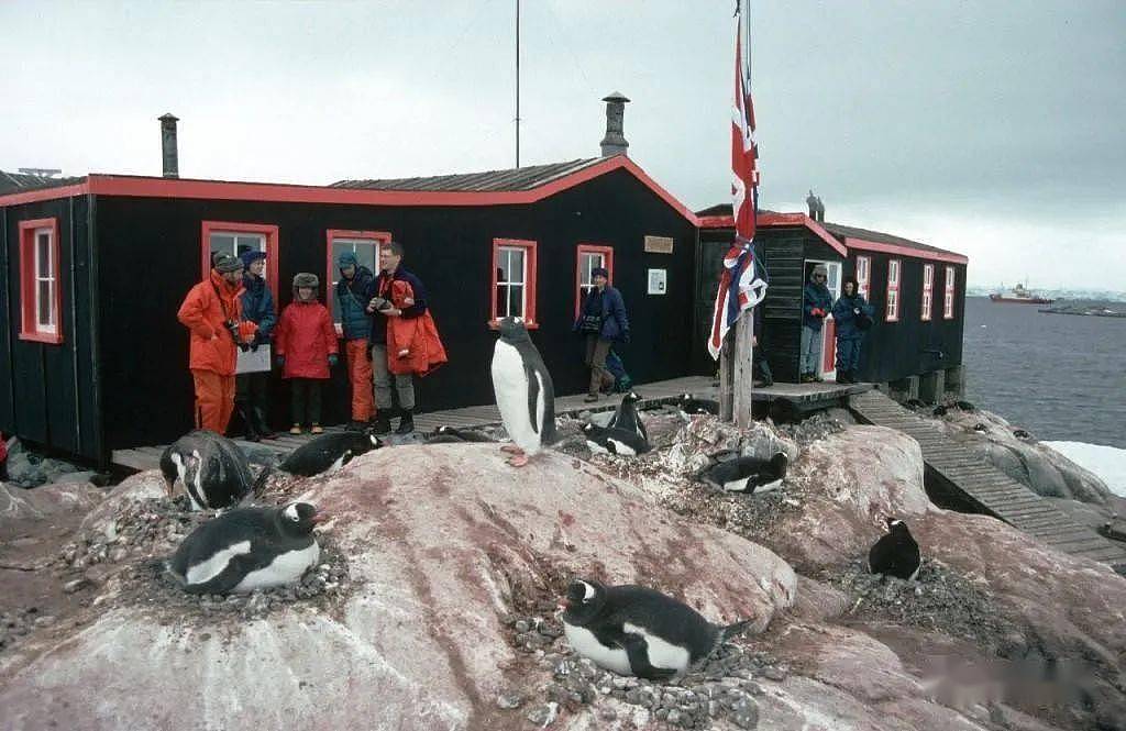 世界上最酷的工作！南极洲招人“数企鹅”，没wifi还得给企鹅铲屎，却有6000人抢着去（组图） - 23