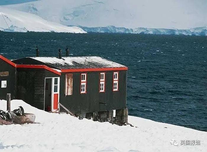 世界上最酷的工作！南极洲招人“数企鹅”，没wifi还得给企鹅铲屎，却有6000人抢着去（组图） - 24