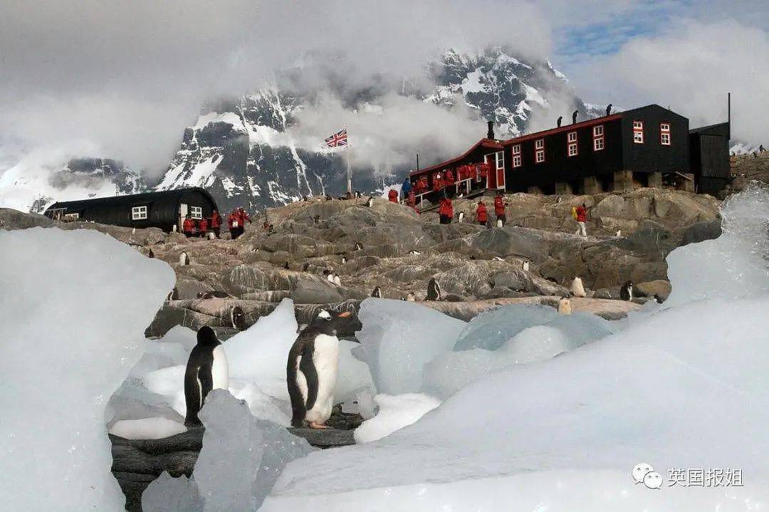 世界上最酷的工作！南极洲招人“数企鹅”，没wifi还得给企鹅铲屎，却有6000人抢着去（组图） - 32