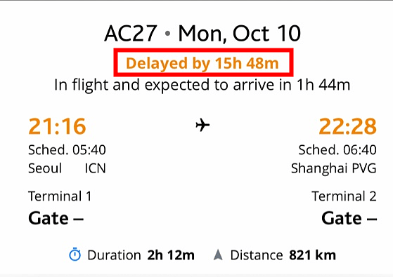 回国航班乘客被撵下飞机:大批华人滞留机场16小时（组图） - 7