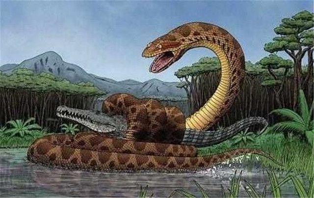 印尼一蟒蛇体型直逼史前生物，被当地人膜拜，卖给公园称“少女”（组图） - 6