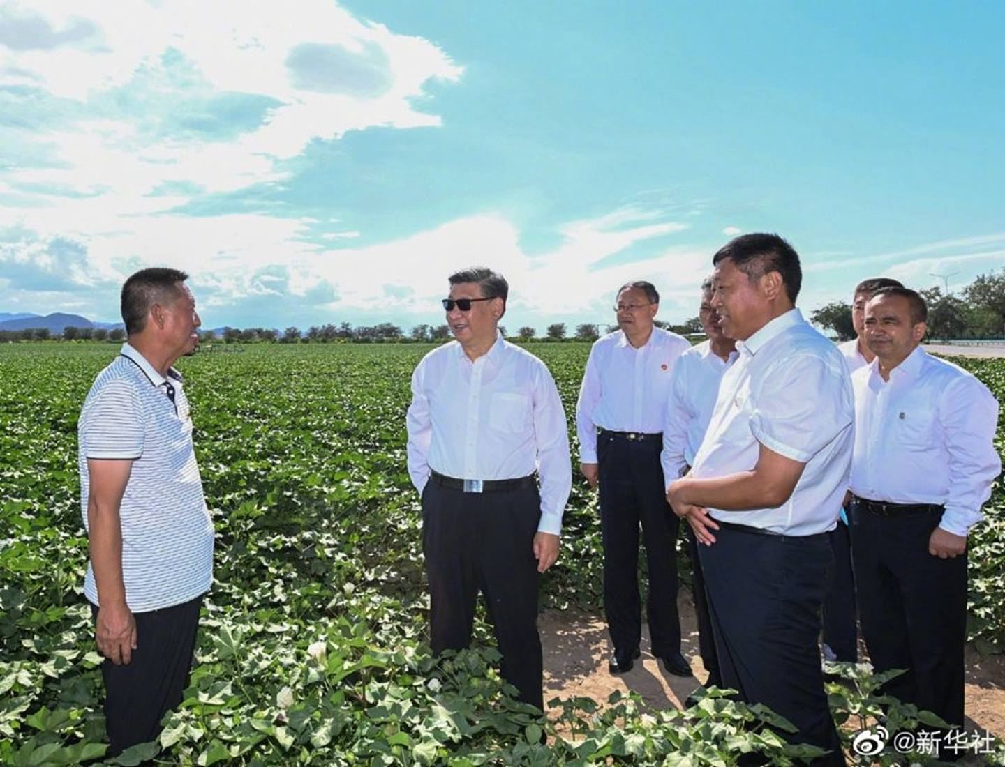 习近平在新疆石河子市考察调研。 （新华社）