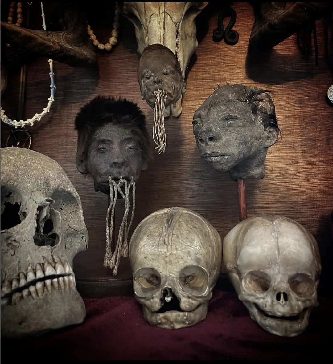 英国盗墓盗尸案频发，骸骨被偷做成装饰品出售（组图） - 3