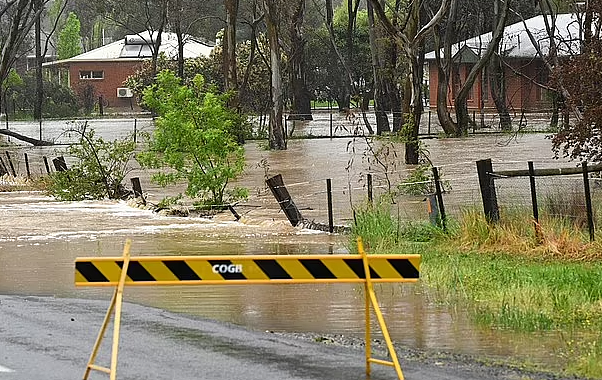 连日暴雨致墨尔本开启“看海模式”！内城区居民今晨紧急疏散，大量房屋被淹（视频/组图） - 8