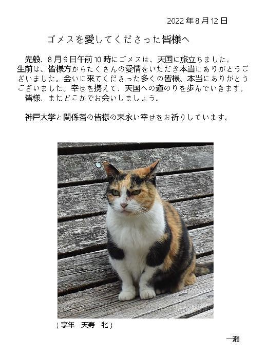 【宠物】神户大学为流浪猫发讣告：守护大家24年的三花，去了喵星！（组图） - 2