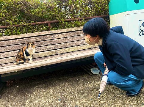【宠物】神户大学为流浪猫发讣告：守护大家24年的三花，去了喵星！（组图） - 13