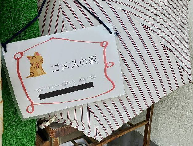 【宠物】神户大学为流浪猫发讣告：守护大家24年的三花，去了喵星！（组图） - 21