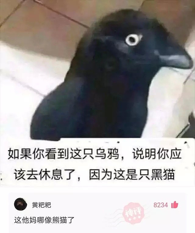 【爆笑】如果你看到是只乌鸦，说明你该休息了，哈哈哈因为这是只黑猫（组图） - 16