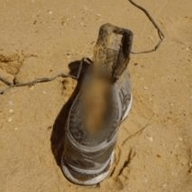 澳“世纪巨骗”悬崖失踪，3个月后断脚残肢现沙滩（组图） - 9