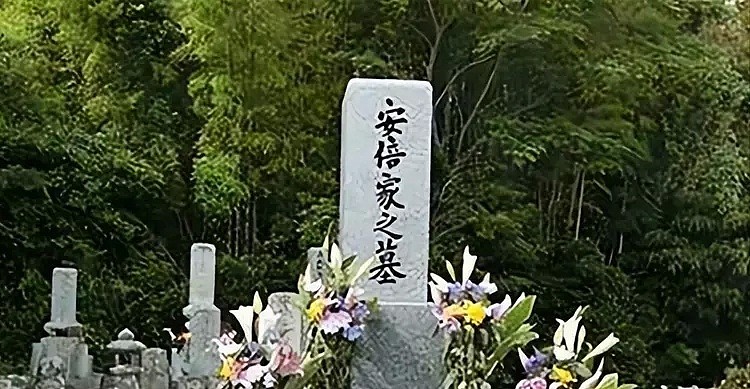 中国人控制日本殡葬，安倍成热点：生前对华警惕，死后难躲中国产品（组图） - 7