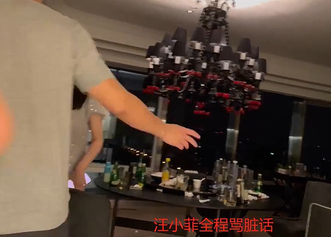 汪小菲被曝卫生间猥亵女生！疑强行亲吻女方嘴部，视频中脏话不断（视频/组图） - 3