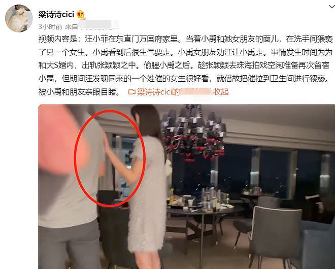 汪小菲被曝卫生间猥亵女生！疑强行亲吻女方嘴部，视频中脏话不断（视频/组图） - 1