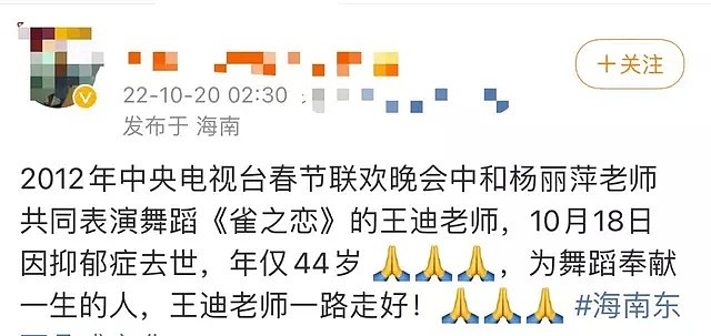 中国一级演员王迪因抑郁症去世！曾登春晚与杨丽萍做亲密的动作引争议，年仅44岁（组图） - 1