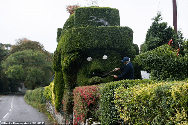 英国退休夫妇花35年修剪花园，用树叶制成巨大绿色雕塑吸引众人 （组图） - 2