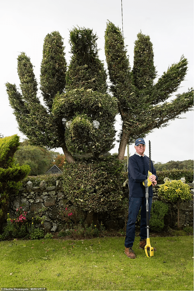 英国退休夫妇花35年修剪花园，用树叶制成巨大绿色雕塑吸引众人 （组图） - 4