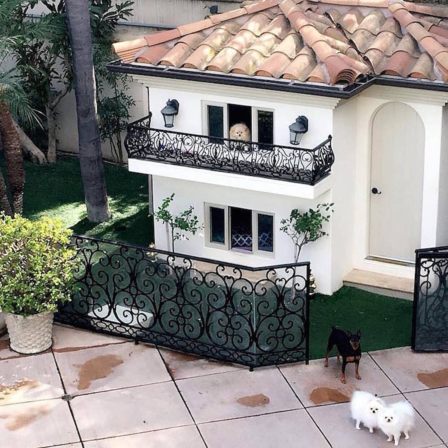 Paris Hilton愛狗如命，不惜花錢為牠們興建一幢迷你豪華別墅。（IG：@hiltonpets）