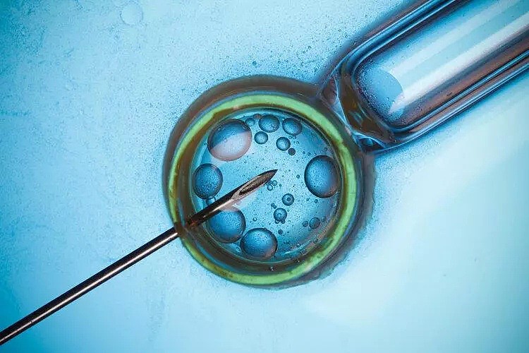 【健康】合成胚胎？人造子宫？科技再突破，我们离“生育工厂化”还有多远（组图） - 4