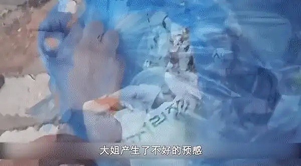 【宠物】“我捡了一袋垃圾，里面竟是2只小猫···”（组图） - 10