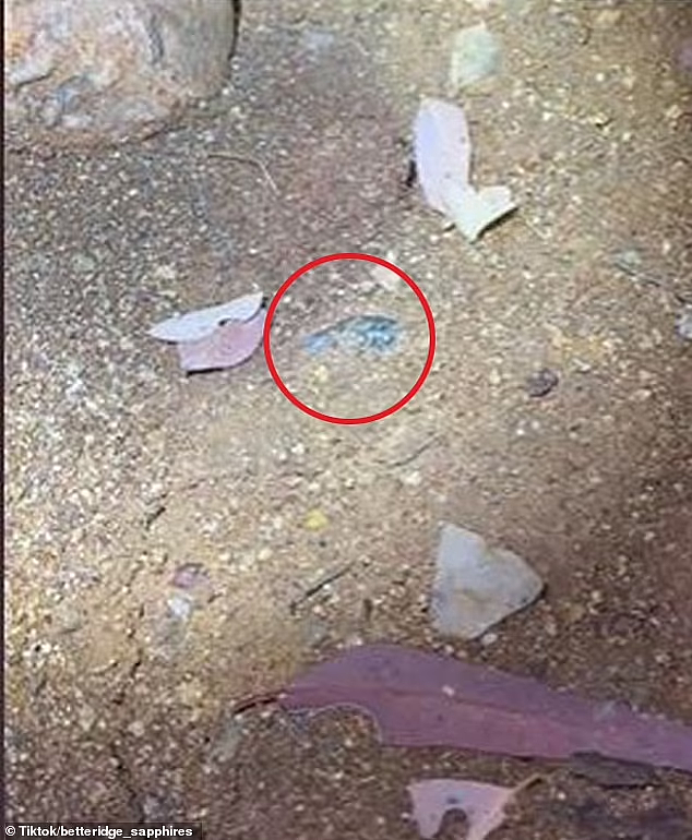 澳男散步时发现“闪光泥土”，挖开一看竟是蓝宝石，重达834克拉（视频/组图） - 2