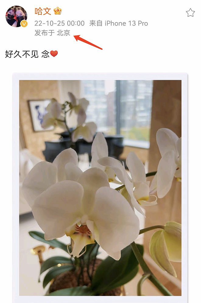 李咏去世四周年，哈文零点发文悼念丈夫惹人心疼，疑似已回到北京（组图） - 1