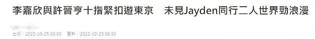 李嘉欣现身国外街头身形暴瘦！脸上都没什么肉了，只有巴掌大，与老公十指紧扣（组图） - 1