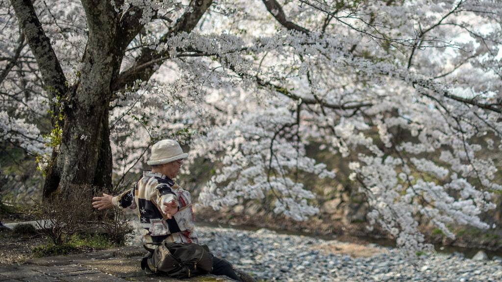 人口老龄化劳动力短缺日本老人可能永不能退休