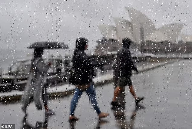 又一场狂风暴雨！澳洲东南海岸发布天气预警，悉尼等地将迎大风及冰雹（组图） - 2