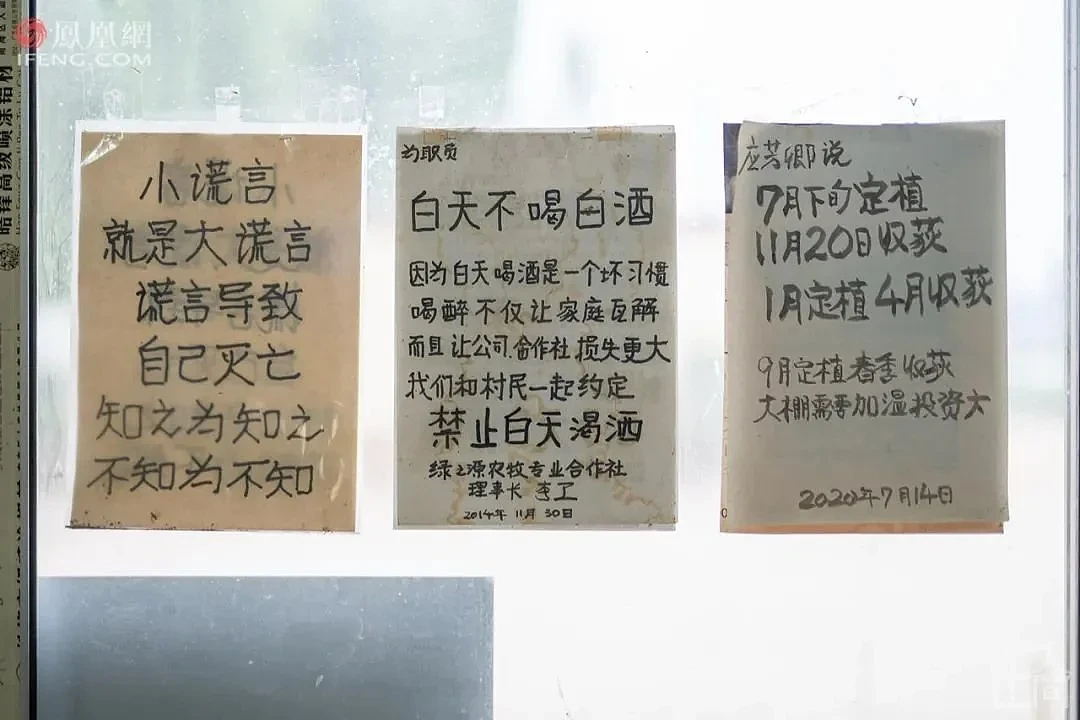 76岁的日本老人来中国打3份工，死后想埋在河南（组图） - 27