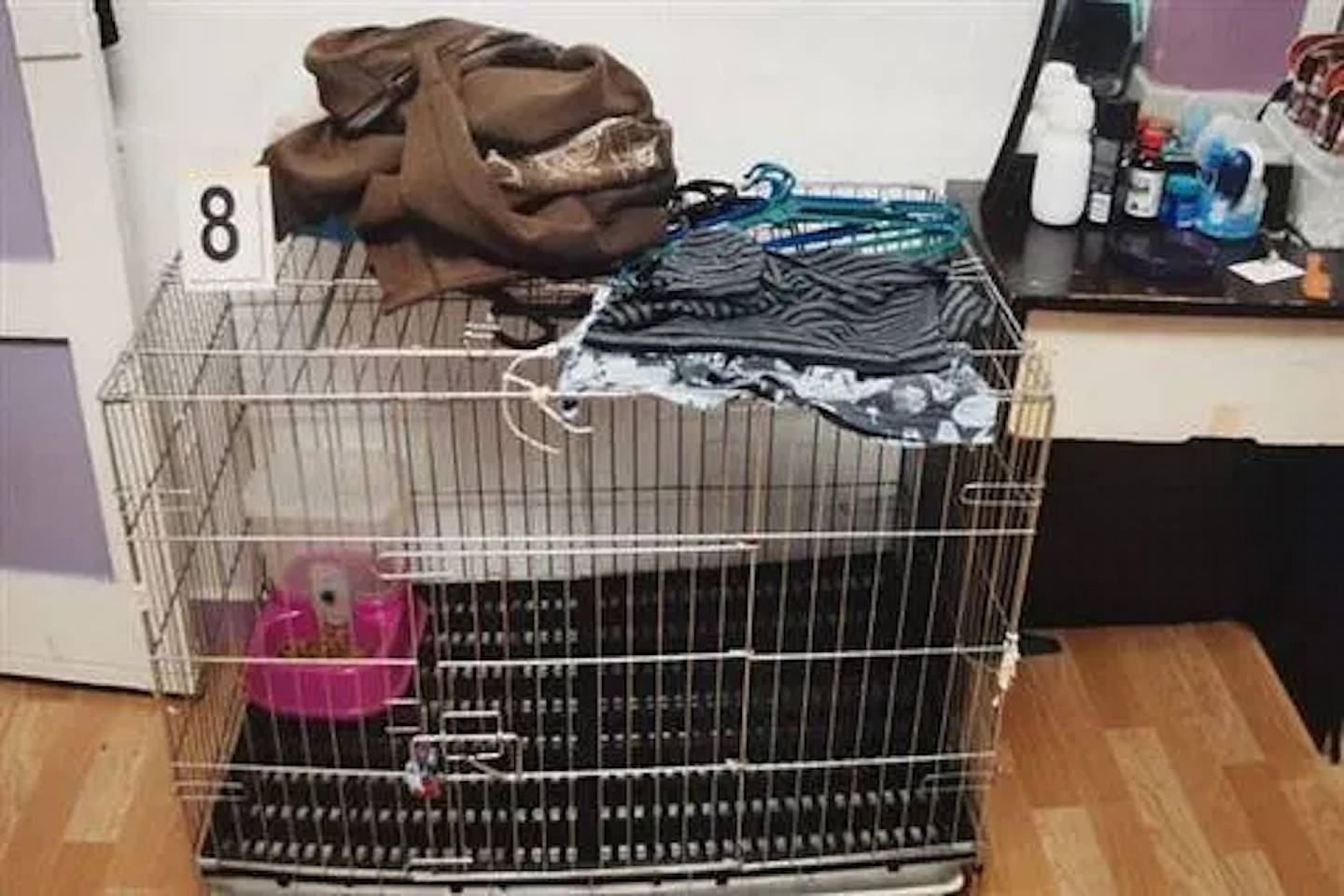 兩人將男童關在貓籠內，家貓則在家中自由行走。（新加坡高等法院）