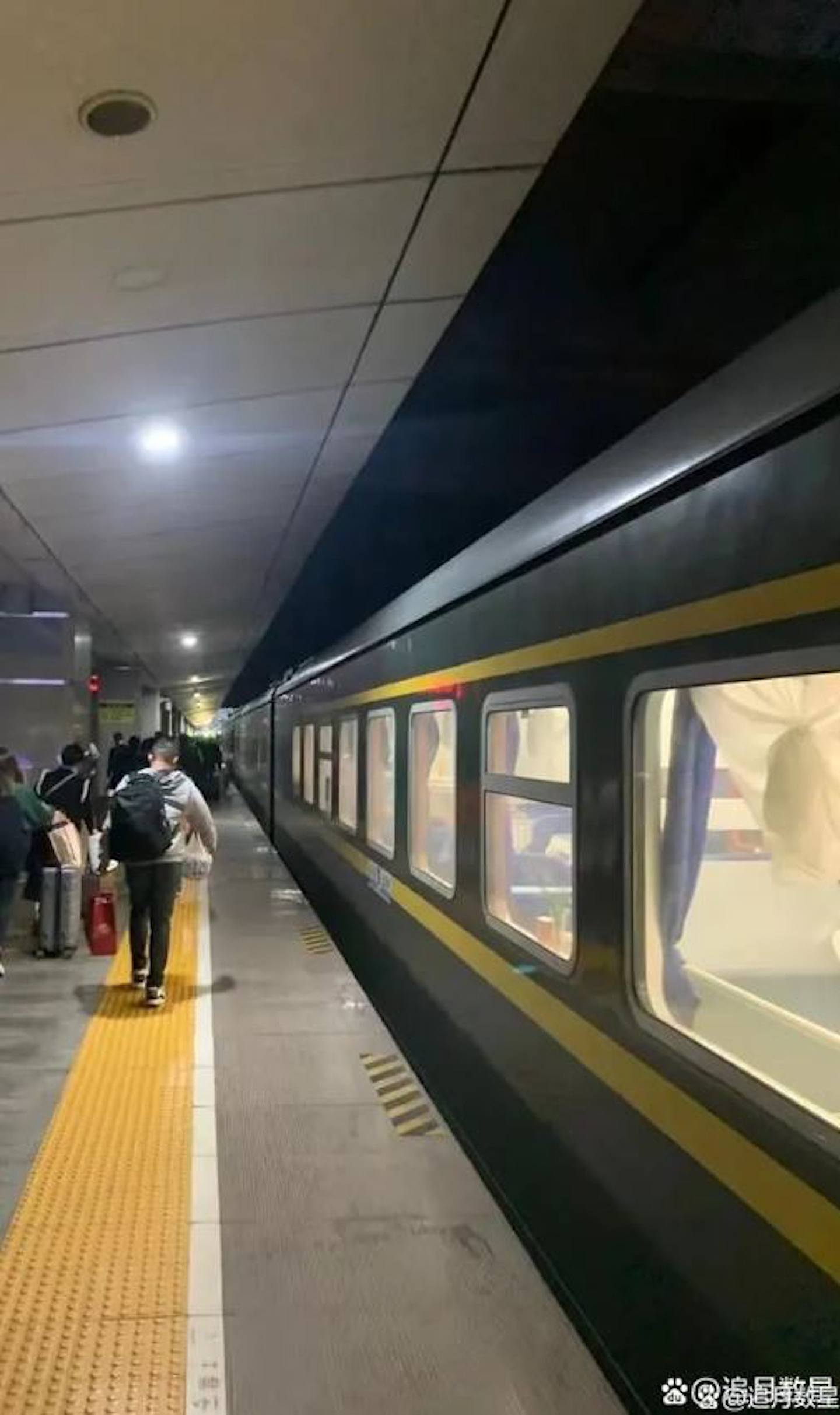 预感到郑州可能「不安全」的「追月数星」买了绿皮火车票连夜「逃离」。 （追月数星）