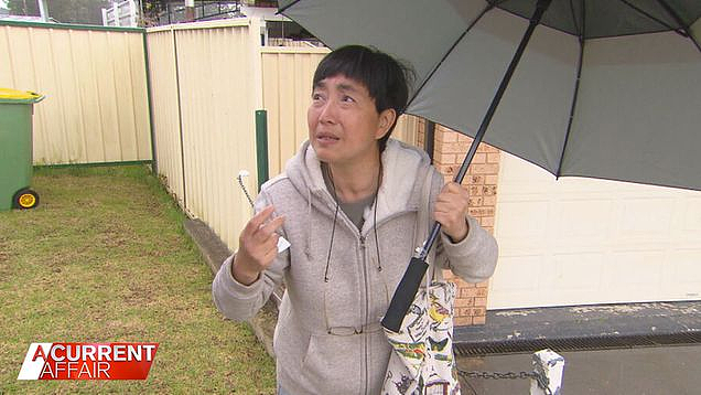 一下大雨就开吵？悉尼两邻居因一堵墙闹僵，亚裔房主：不怕被警察抓，绝不退让（组图） - 3