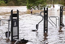 维州SES迎史上最忙月，负责人：洪灾紧急情况尚未结束（图）