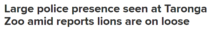 悉尼Taronga动物园5头狮子出逃，引发临时封锁！大批警员到场，居民收到居家警告（组图） - 2