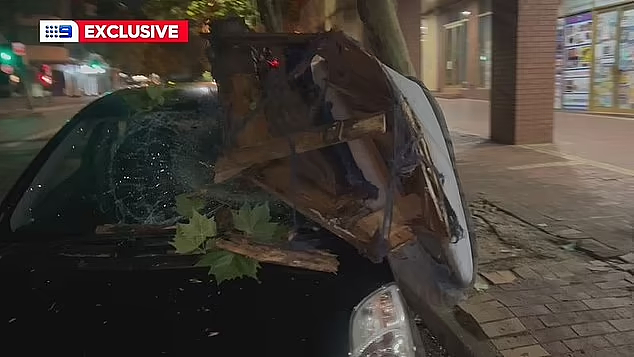 惊呆！悉尼天降沙发，路边汽车挡风玻璃被砸碎（组图） - 3