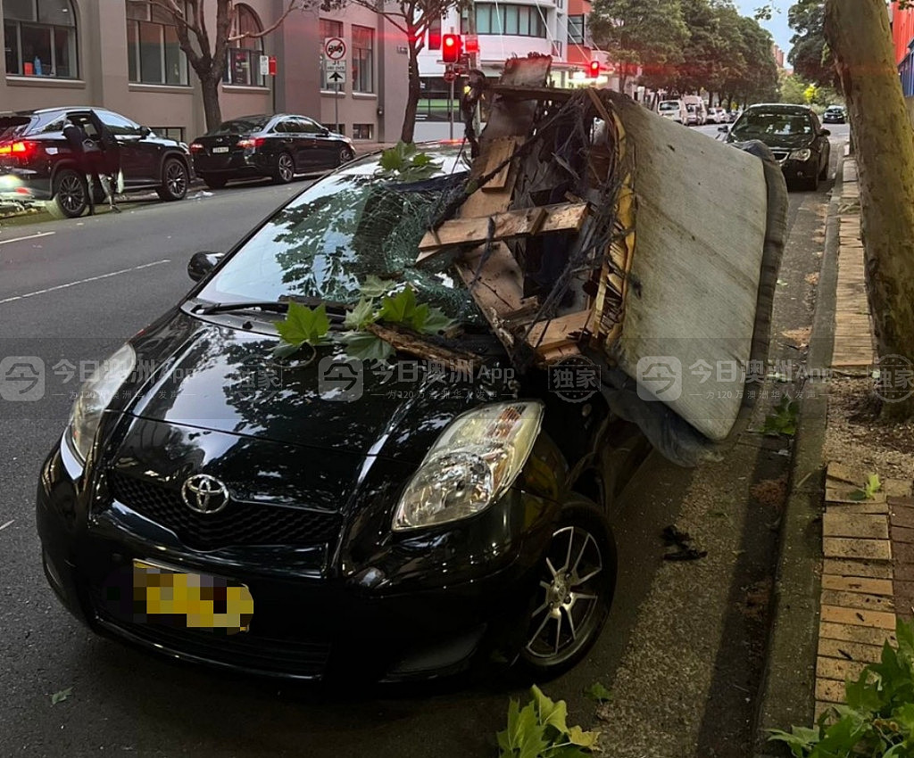 天降沙发，悉尼华人车辆被砸至几近报废！车主庆幸逃过一劫，“差几分钟攸关性命！”（组图） - 1