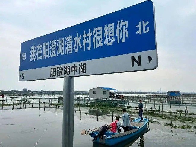 中国人，被阳澄湖大闸蟹骗了30年（组图） - 7