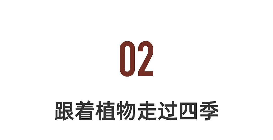 31岁，他搬到自然里独居：疫情刺激你做出改变（组图） - 21