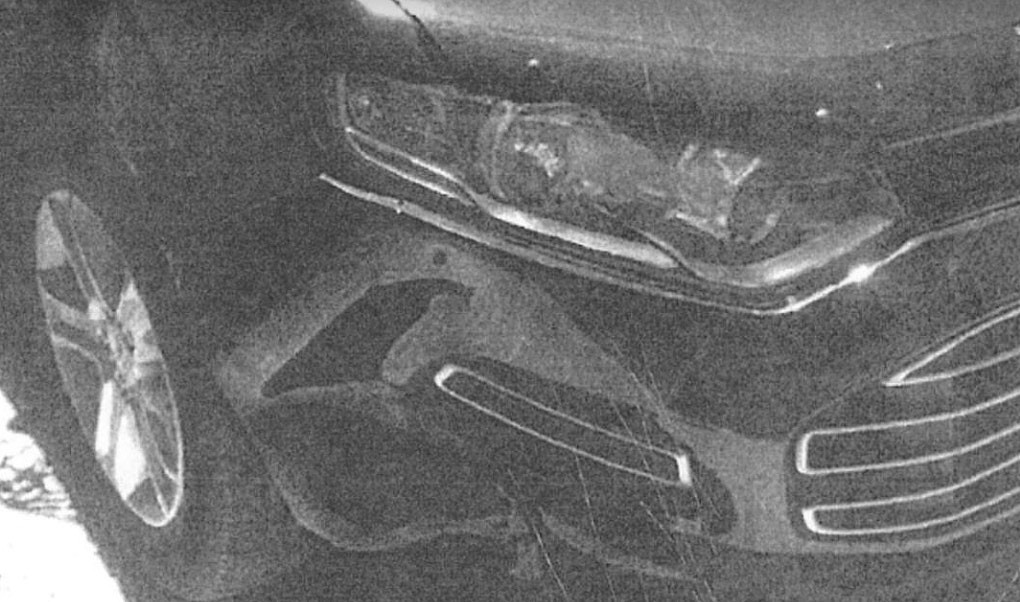 维州州长SUV与男孩相撞，密封10年照片终曝光！挡风玻璃碎一地（组图） - 4
