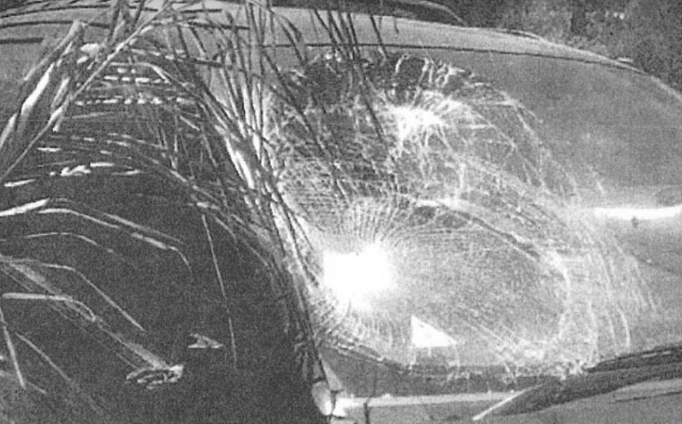 维州州长SUV与男孩相撞，密封10年照片终曝光！挡风玻璃碎一地（组图） - 3
