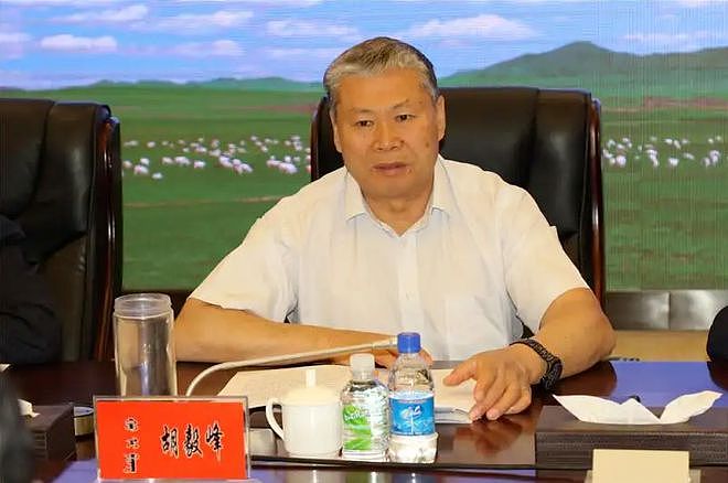 曾主持审理“呼格冤案”的内蒙古高院原院长胡毅峰被逮捕，被指“执法犯法、以案谋私”（组图） - 2