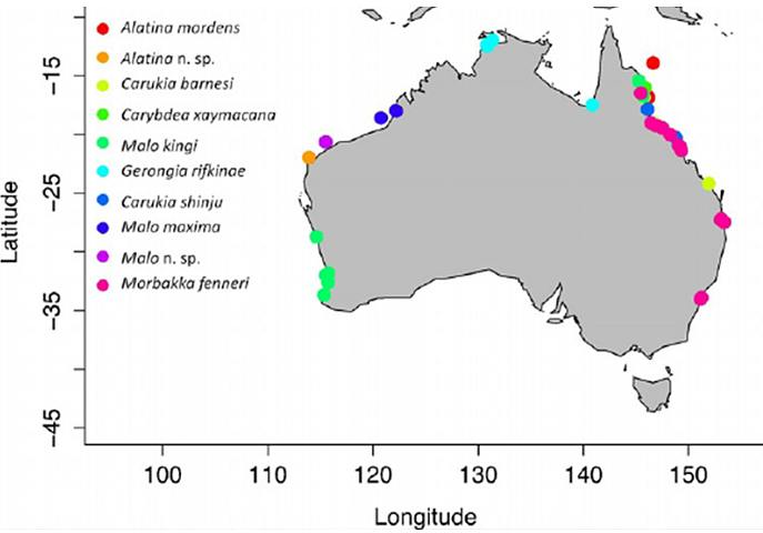 西澳水域现神秘剧毒动物，肉眼看不见！11月-4月伤人事件频发，下水请注意（组图） - 8