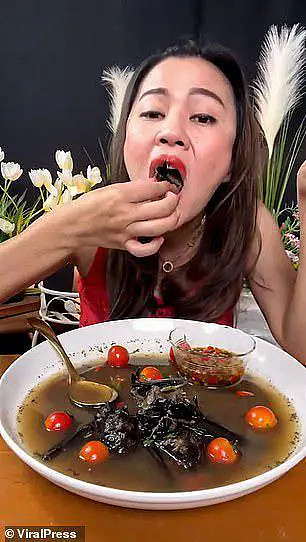 泰国女子大吃蝙蝠惹众怒，“损人不利己”，已被逮或面临5年监禁（组图） - 2