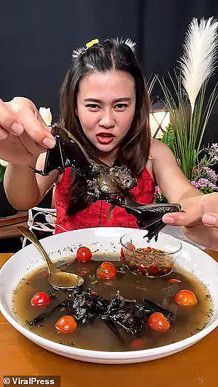 泰国女子大吃蝙蝠惹众怒，“损人不利己”，已被逮或面临5年监禁（组图） - 1
